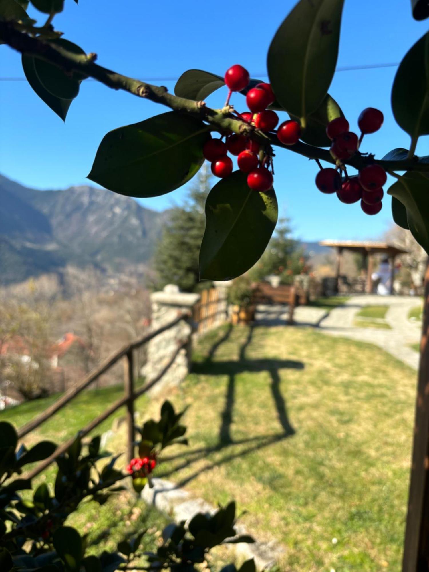 Πέτρινο Όραμα Hotel Kotronion  Bagian luar foto